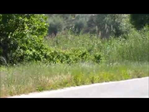 33° Rally di Casciana Terme 2015 R. Ferrari - S. Di Giulio Citroen Saxo S1600