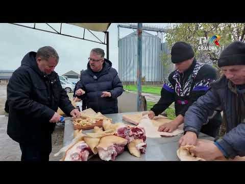 Țăst Show - tăiatul porcului la Cezieni, Olt