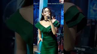 Download lagu ANTARA JAKARTA & PENANG - DIFARINA INDRA - OM ADELLA mp3