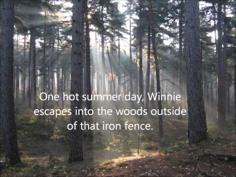 Tuck Everlasting Book Trailer