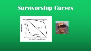 Survivorship Curves Review (BI 107)