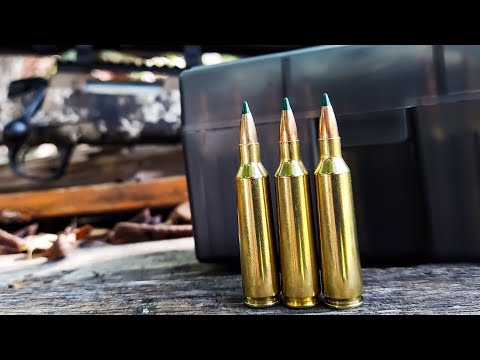 .22-250 Handloads - 100 Yard Group Test - Insane Precision - CVA Cascade