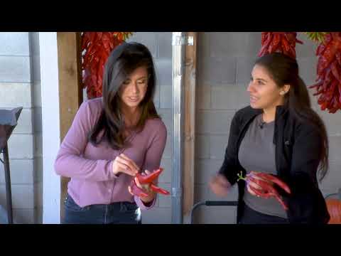 DIY Friday with Danielle - Making a Chile Ristra
