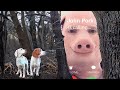 John Pork Calls Dogs From Woods