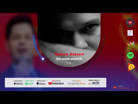 Mekan Atayew - Söýgi Ganatym (Audio Visualiser) Love Story