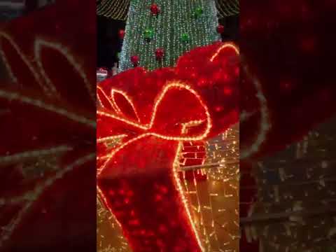 ✨ Vive la magia del alumbrado navideño 2025  en el municipio de Villa del Rosario