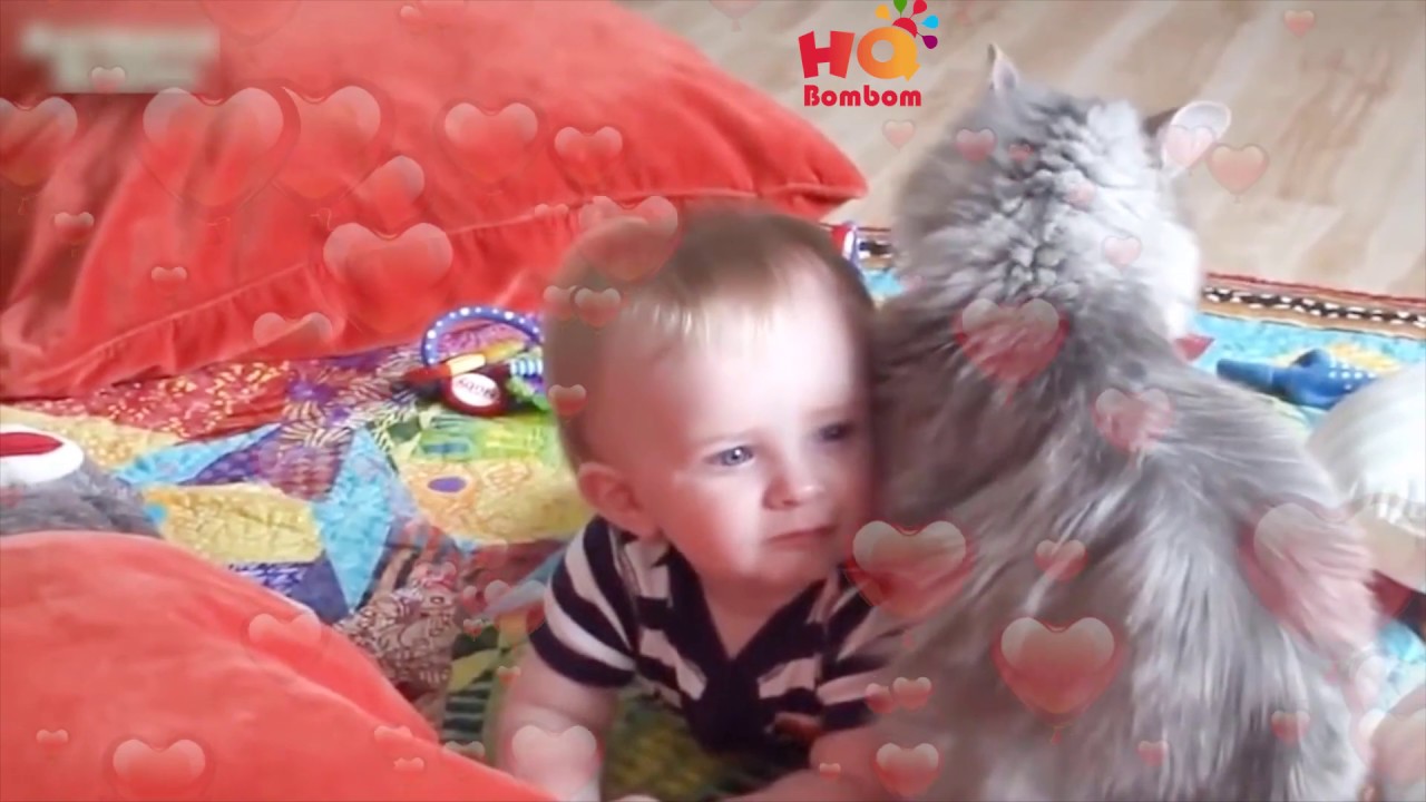 「絶対に笑う」あり得ないことをする犬★おもしろい犬のハプニング, 失敗画像集 #40