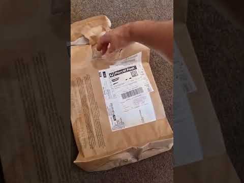 New Air Jordan wordmark Tshirt #short #shorts #jordan #airjordan