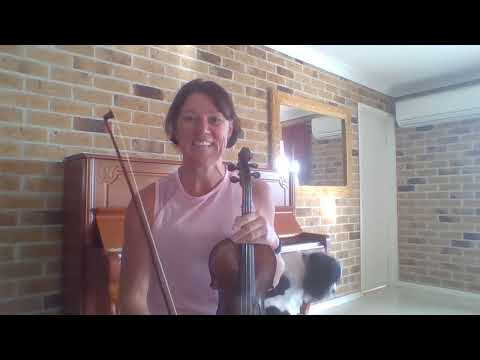 Level 4 Yr 6 WSS Term 2 Assessment