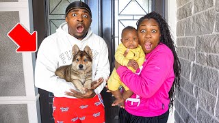 SOMEONE LEFT A DOG AT OUR DOORSTEP!!! *NOT CLICKBAIT*