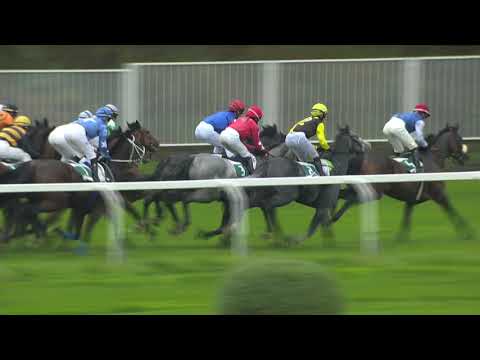 CH, 26. 9. 2020, 3. dostih - CENA LOKOTRANS SUBOTICA A BFLOW AGENCY