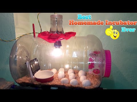 DIY - HOMEMADE INCUBATOR || HOW TO MAKE AN EGG INCUBATOR || HATCHING CHICKEN EGGS