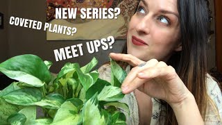 2020 Plant Plans Tag | What’s Happening With My Channel + More!