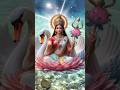 Gayatri Mantra 14