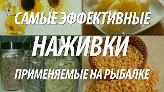 Все наживки и насадки для рыбалки