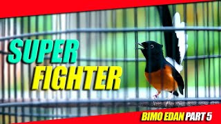 Download lagu Murai Fighter Gacor Dor Pendongkrak Emosi mp3