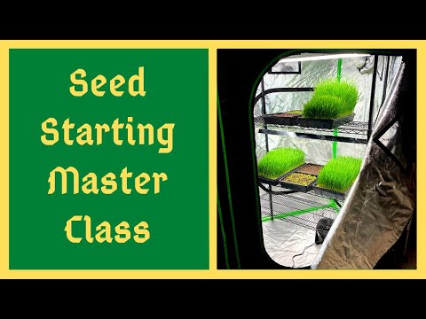 Seed Starting - Everything You Need To Know For Success