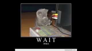 trolling fail that makes no sense!