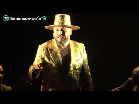 El Niño de Elche - Alegrías de Manuel Torre - Festival Flamenco Nimes 2025