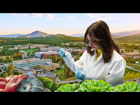 Reducing the carbon footprint of our food | The University of British Columbia