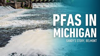 PFAS in Michigan: Sandy Wynn-Stelt