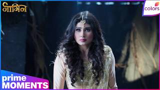 Naagin S1 | Ep.  | Shivanya Gets Trapped | Colors TV