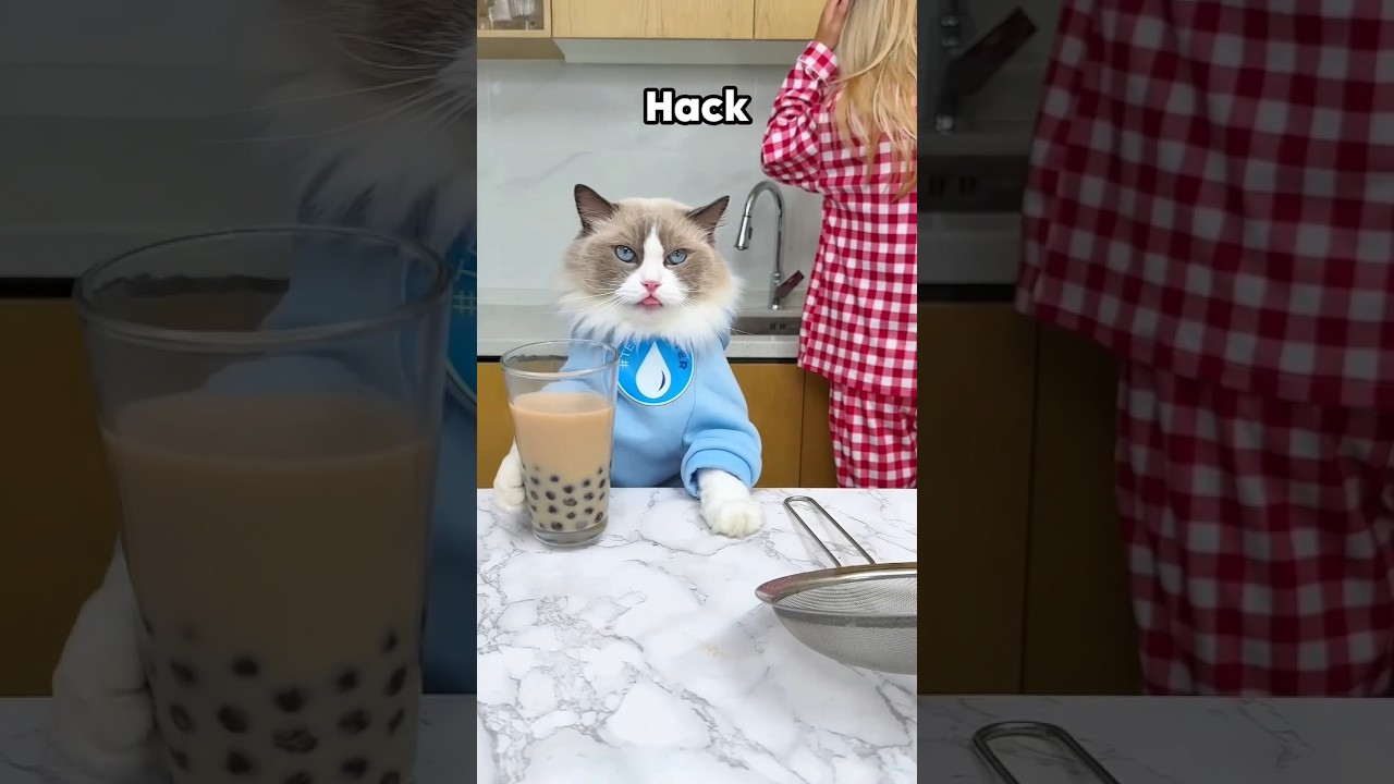 Kitty Stops Sonia From Throwing The Tea ☕