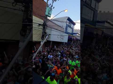 Carnaval:Taquaritinga sp