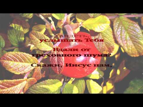 296 Иисуса приход ожидаем