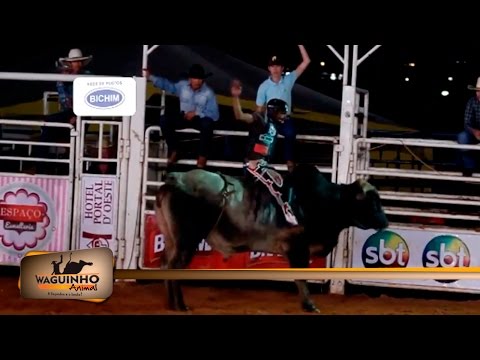 Waguinho Animal - Montarias Expô Prudente 17/09/16
