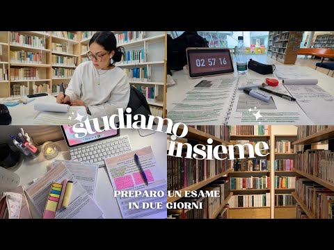 STUDIENVLOG || Ich bereite mich auf eine Prüfung in zwei Tagen vor, Wintersemester, Bibliothek usw.