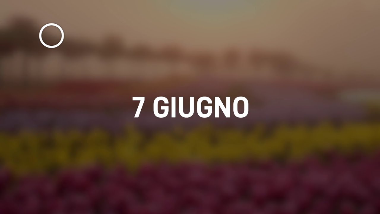 07 Giugno 2024 | Meditazione Parole di Vita