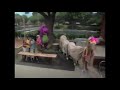 All Week Of Barney S Happy Mad Silly Sad Screener All Week Version Part 62