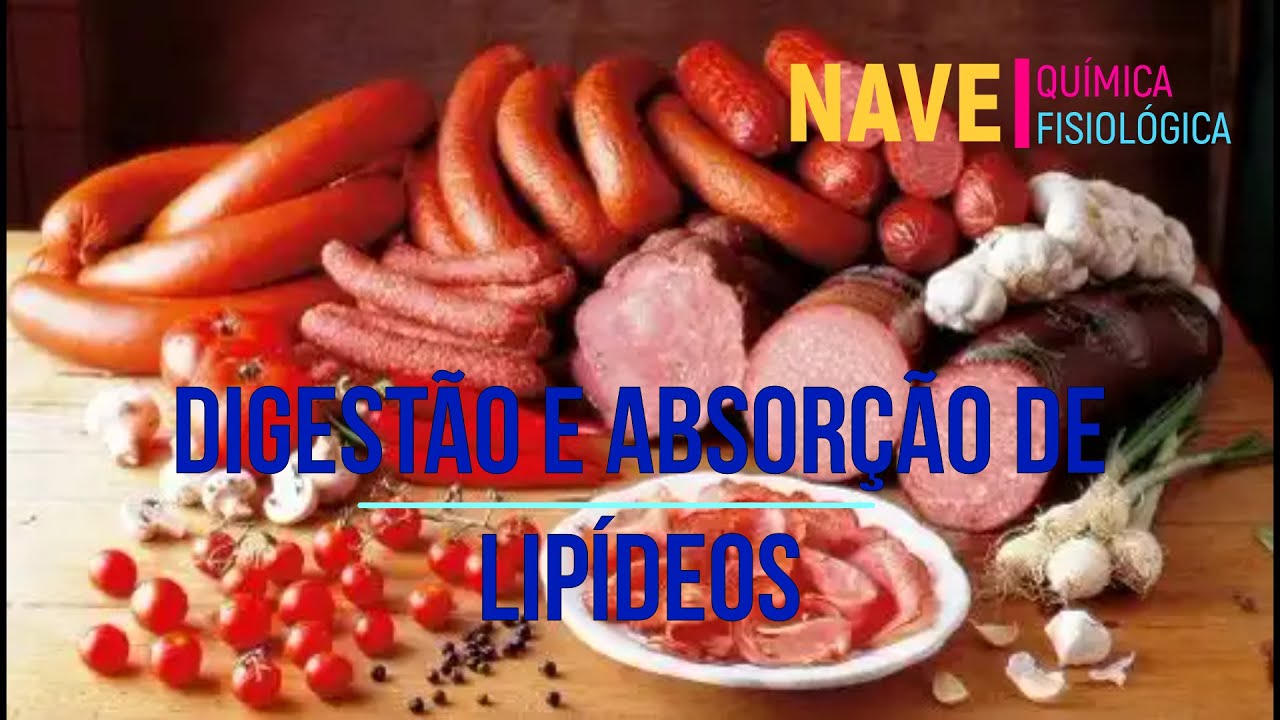 digestão e absorção de lipídeos