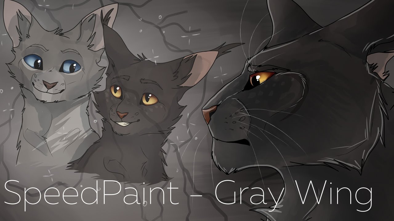 [WARRIORS] SpeedPaint - Gray Wing