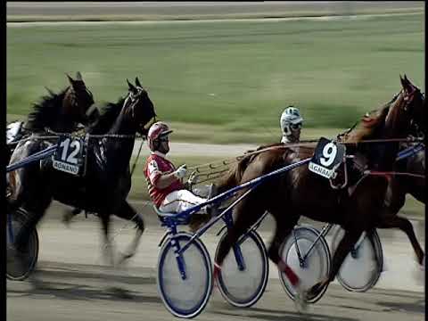 Trotto 15/06/2019 - 5ª corsa