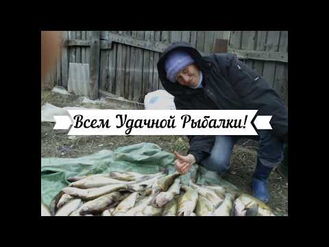 Рыбалка на Волге,судак.