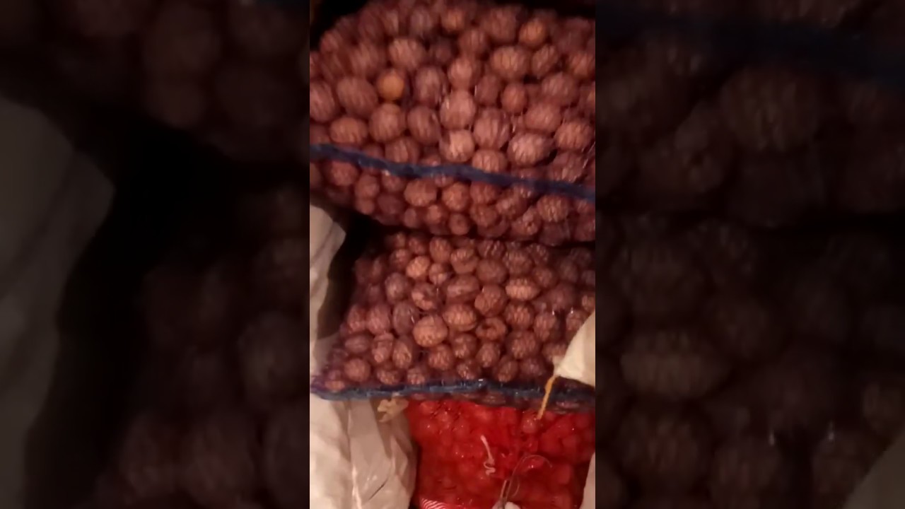 Грецкий орех Колесников