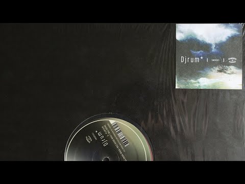Djrum - What I Was Doing When I Was Doing What I Was Doing (vinyl)