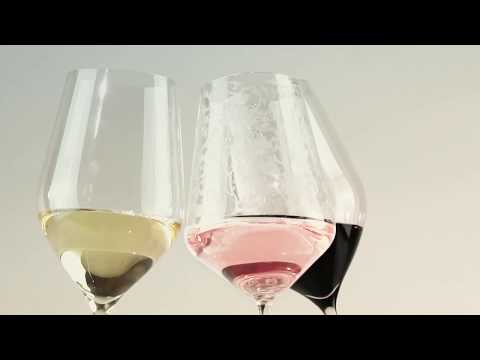 Discovering the wines of Ammiraglia Estate