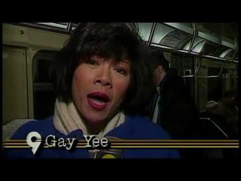 1989 subway crime story