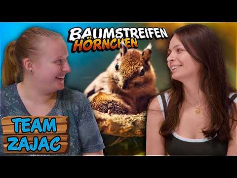 chinesische BAUMSTREIFENHÖRNCHEN | Zoo Zajac