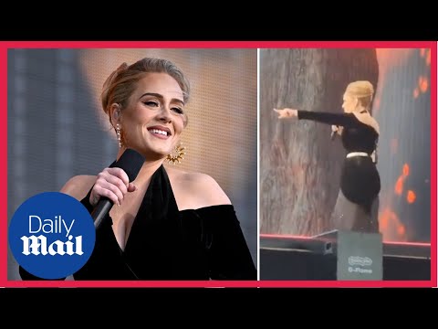 'Stop stop stop, security?': Adele stops singing to help fan in crowd