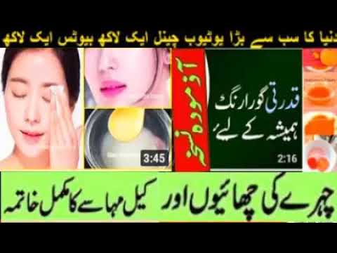 Best Funny Animal Videos Of The 2023 🤣 - Funniest Cats And Dogs Videos 😺😍😂🐶 Funny cat & dog videos 😍