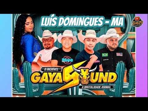O INCRÍVEL GAYASOUND EM LUÍS DOMINGUES -MA DJ MALUKINHO O DOIDO ABERTURA DO SÃO JOÃO 14-06-2026