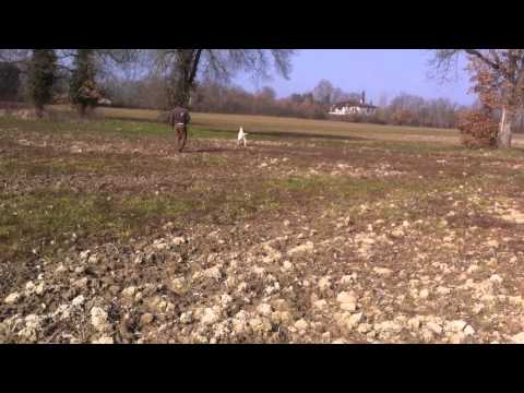 {$row[$i]['name'], ENT_QUOTES,'utf-8'); ?>