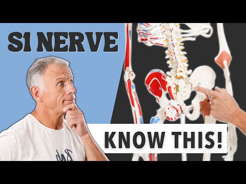 Examination Of S1 Nerve Root - Everything You Need To Know. Bob and Brad