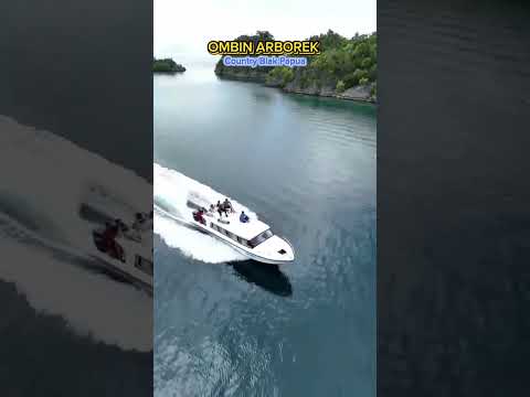 OMBIN ARBOREK RAJA AMPAT