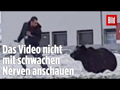 , title : 'Die Jagd dauert 1 Stunde: Bären-Attacke mitten in der Großstadt'