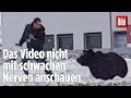 Die Jagd Dauert 1 Stunde Bären Attacke Mitten In Der Großstadt